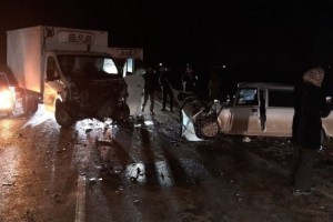 В Астраханской области произошла серьезная авария с&#160;участием коровы