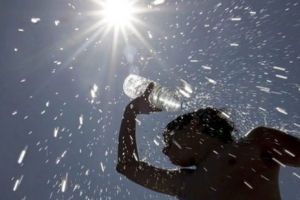 Минувшее лето стало самым жарким за последние 125 лет