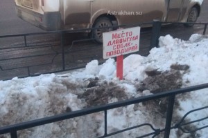 Астраханку возмутило неудобное место для выгула собак-поводырей