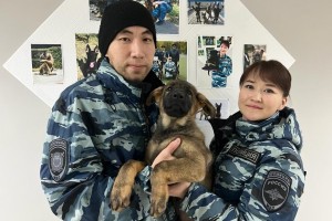 Астраханская полиция пополнится новыми хвостатыми сотрудниками