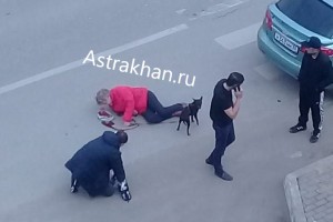В Астрахани на пешеходном переходе сбили женщину с&#160;собакой
