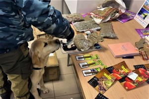 Астраханские таможенники задержали волгоградца с пакетом наркотиков