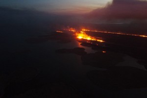 На территории Астраханского заповедника произошел крупный пожар
