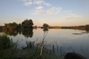Памятка рыбакам-любителям: где и&#160;как можно ловить рыбу в&#160;Астраханской области