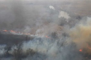 Природный пожар в&#160;Астраханском заповеднике уже прошёл 8&#160;тысяч гектаров