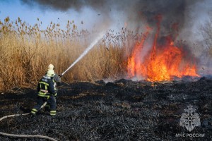 В окрестностях Астрахани пожар на дачах распространился на тысячу &#171;квадратов&#187;