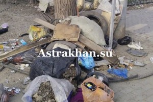 В Астрахани у детского сада обнаружили мусорную свалку
