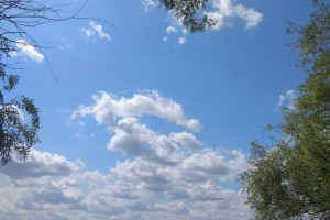 4 апреля в&#160;Астрахани ожидается солнечная погода