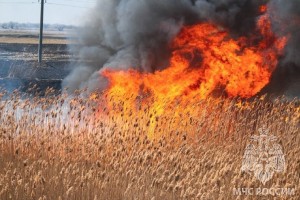 В Астраханской области ожидается чрезвычайная пожароопасность 10 и 11 апреля