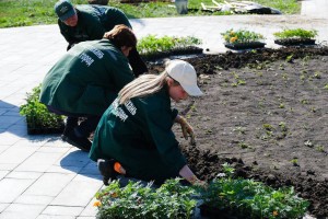 В Астрахани озеленили новый сквер «Антикормаш»