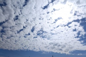 12 апреля в&#160;Астрахани ожидается облачная погода