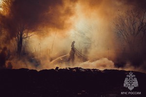 Возгорание сухой травы в Астраханской области фиксировалось 790 раз в 2023 году