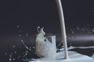 Учёные рассказали, в чём польза и вред молока