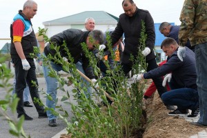 В рамках акции «Сад памяти» в Астраханской области высаживают десятки тысяч растений