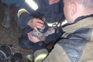 В Астрахани огнеборцы спасли кошку, пострадавшую при пожаре