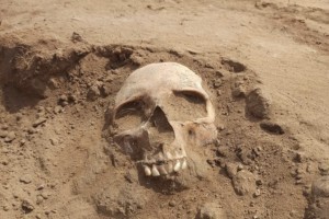 В Астраханской области обнаружили древние человеческие кости