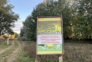 Астраханцам до 30 мая запретили приезжать в&#160;лес