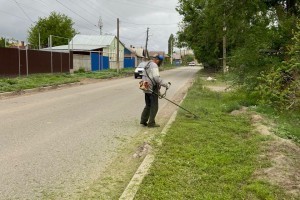 Городская администрация рассказала, где в&#160;Астрахани будут косить сорняки на этой неделе