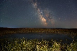 Подходящее место для съемок ночного неба нашли в Астраханской области