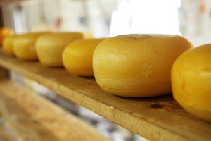 В астраханские соцучреждения поступал фальсифицированный сыр