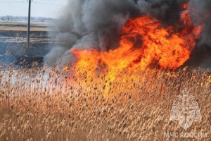 МЧС предупреждает астраханцев о&#160;чрезвычайной пожароопасности