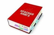В Астраханской области прокуратура направила в суд уголовное дело о незаконном вылове миноги.