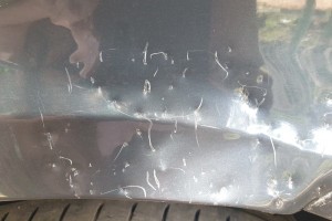 В Астрахани собаки погрызли очередной автомобиль