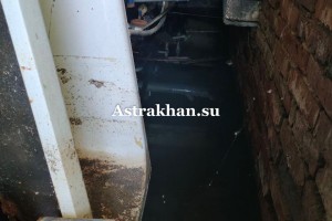 Астраханскую многоэтажку оккупировали комары &#8211; переносчики лихорадки