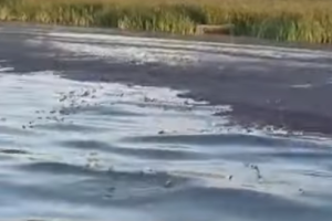 В Астраханской области организация «ЭКО+» загрязняет реку