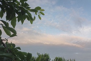 25 июля астраханцев ждёт облачная погода с&#160;прояснениями