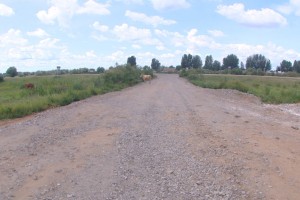 Жители астраханского села скинулись по 500 рублей и сделали дорогу