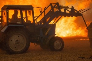 В Астраханском биосферном заповеднике пожаловались на завистников, которые устраивают пожары