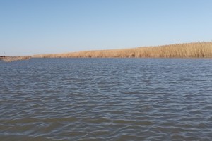 В Астраханской области завершили расчистку водного тракта