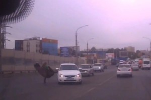 В Астрахани женщина на оживленной улице пинала машины
