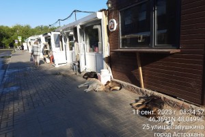 В Астрахани собаки продолжают нападать на&#160;людей