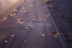 В Астрахани новый тротуар не простоял и двух месяцев
