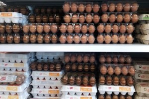 В Астраханской области за неделю яйца подорожали на 2%