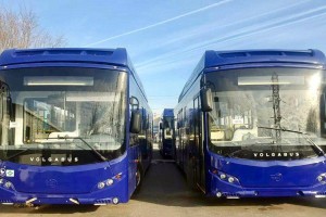 Как будут ходить бесплатные автобусы на Агрофестиваль в&#160;Астрахани