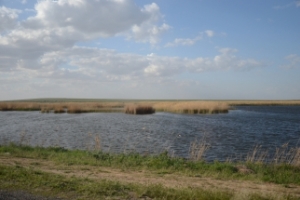 В Астраханской области вода пошла на убыль