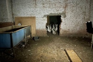 В Астраханской области задержали похитителя гусей