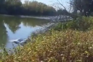 Угнанная иномарка астраханки оказалась в реке