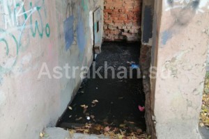Астраханцы жалуются на затопленные подвалы и&#160;неприятный запах