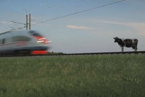 В Астраханском регионе ПривЖД участился выход бесхозных домашних животных на железную дорогу