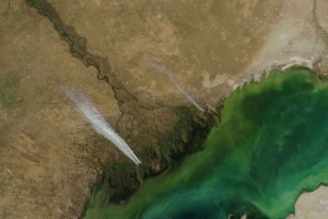 Спутник NASA зафиксировал пожар в дельте Волги (ФОТО)