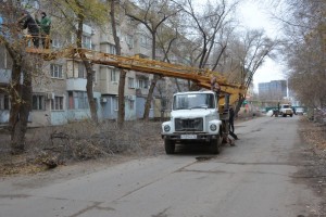 В Астрахани занимаются опиловкой деревьев на улице Ахшарумова