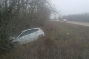 В Астраханской области машина съехала в кювет и столкнулась с деревом