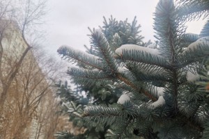 9 декабря в Астрахани ожидается усиление ветра
