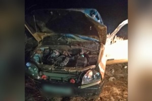 На трассе Волгоград-Астрахань произошло смертельное ДТП