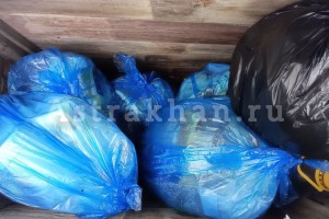 Астраханцы снова жалуются на нарушения графика вывоза мусора