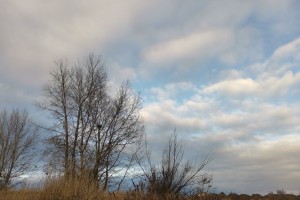 30 декабря в&#160;Астрахани будет тепло и&#160;облачно